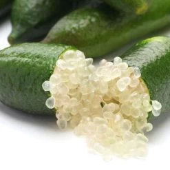 Citrus Australian Finger Lime Tree -Botanical Bliss 29501 2