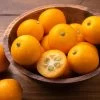 Citrus 'Fukushu' Kumquat Tree 2 Citrus 'Fukushu' Kumquat Tree -Botanical Bliss 29502