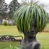 Mangave Mad About Mangave® 'Bad Hair Day' 1 Mangave Mad About Mangave® 'Bad Hair Day' -Botanical Bliss 29523