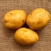 'Golden Globe' Potato - 2 Pound Bag