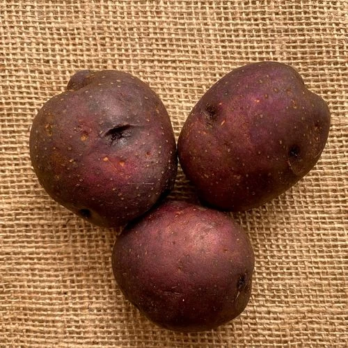 'Harvest Moon' Potato - 2 Pound Bag 3 'Harvest Moon' Potato - 2 Pound Bag