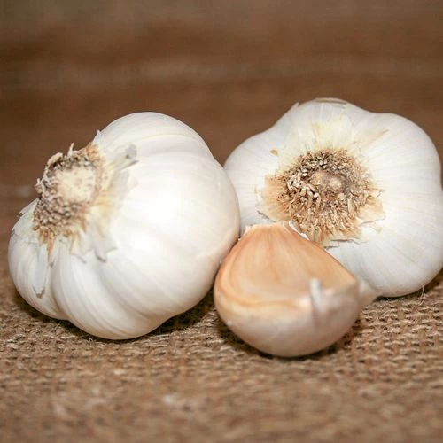 Garlic California Select Bulbs 3 Garlic California Select Bulbs