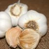 Garlic S&H Silver Bulbs 1 Garlic S&H Silver Bulbs -Botanical Bliss 29794 PK 2