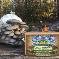 Cardboard And Coffee Bulk Starter