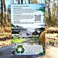 Mushroom Blue Oyster Countertop Kit -Botanical Bliss 31020 2