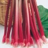 Rhubarb 'Victoria' -Botanical Bliss 31668 pk 3