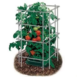 48 Inch Park Seed Tomato Cages