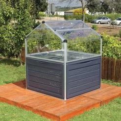 The Plant Inn Coldframe And Shed 10 The Plant Inn Coldframe And Shed -Botanical Bliss 32239 2