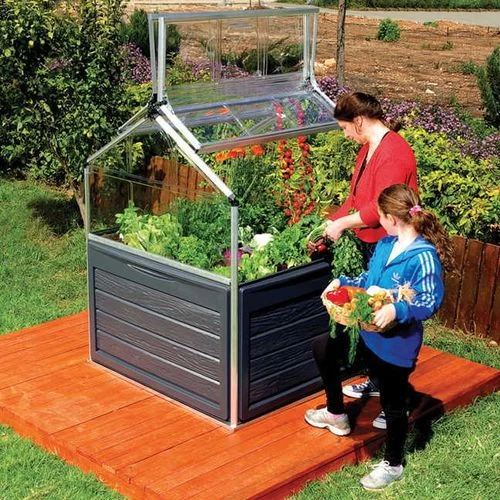 The Plant Inn Coldframe And Shed 6 The Plant Inn Coldframe And Shed - Image 4