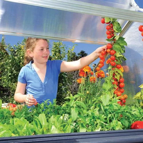 The Plant Inn Coldframe And Shed 8 The Plant Inn Coldframe And Shed - Image 6