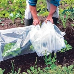 Standard Poly Easy Tunnel