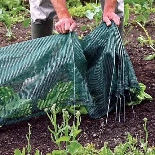 Standard Net Easy Tunnel 3 Standard Net Easy Tunnel