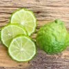 Citrus Kieffer Lime Tree 2 Citrus Kieffer Lime Tree -Botanical Bliss 36492