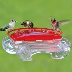 Jewel Box Hummingbird Feeder