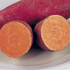 'Beauregard' Sweet Potato Slips
