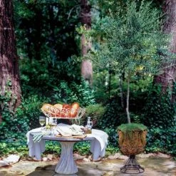 Olive 'Arbequina' Tree -Botanical Bliss 46044 3