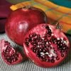 Punica Favorite™ Pomegranate -Botanical Bliss 48534