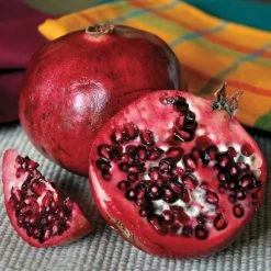 Punica Favorite™ Pomegranate