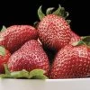 Fragaria 'Jewel' Strawberry 1 Fragaria 'Jewel' Strawberry -Botanical Bliss 49919 pK 20