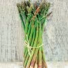 Asparagus Jersey Supreme Hybrid -Botanical Bliss 50409 pk 20
