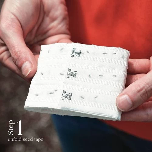 Annabel Hybrid Radish Seed Tape 4 Annabel Hybrid Radish Seed Tape - Image 2