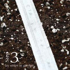 Annabel Hybrid Radish Seed Tape 9 Annabel Hybrid Radish Seed Tape -Botanical Bliss 52122 3