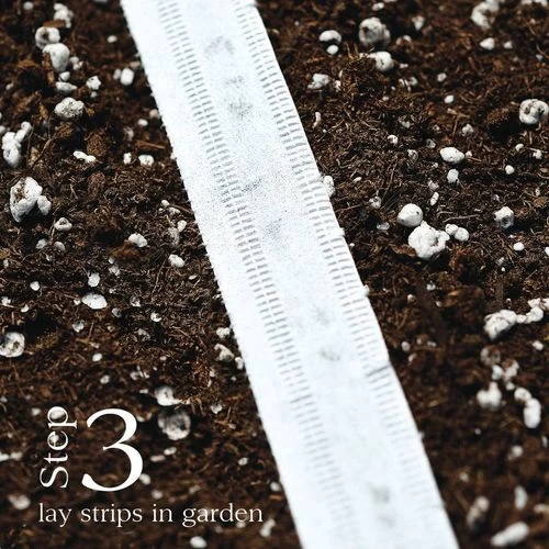 Annabel Hybrid Radish Seed Tape 6 Annabel Hybrid Radish Seed Tape - Image 4