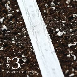 Damast Bunching Onion Seed Tape 9 Damast Bunching Onion Seed Tape -Botanical Bliss 52127 3