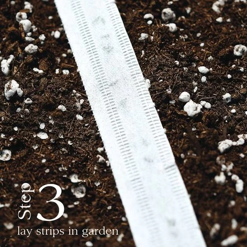 Little Finger Carrot Seed Tape 6 Little Finger Carrot Seed Tape - Image 4