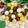 Halloween Blend Radish Seeds -Botanical Bliss 52419 pk p1