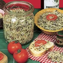 Old Mexico Mix Salad/Microgreens Seeds 5 Old Mexico Mix Salad/Microgreens Seeds -Botanical Bliss 52450 PK P1 1