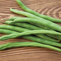 Park's Whopper Bush Bean Seeds