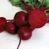 Robin Hybrid Beet Seeds -Botanical Bliss 52491 PK P1