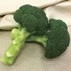 Green Magic Hybrid Broccoli Seeds -Botanical Bliss 52493