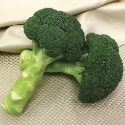 Green Magic Hybrid Broccoli Seeds