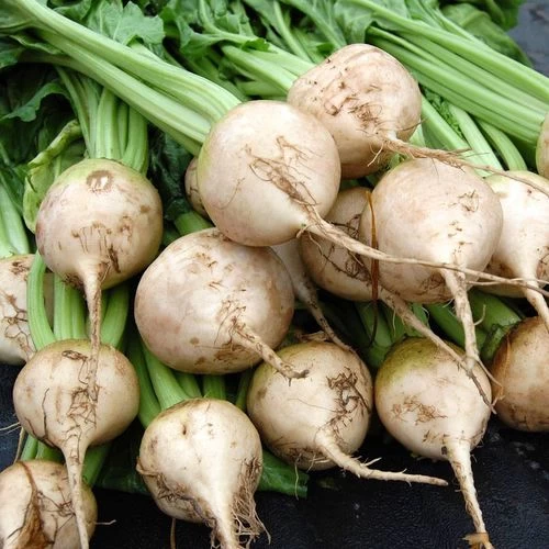 Avalanche White F1 Beet Seeds 4 Avalanche White F1 Beet Seeds - Image 2