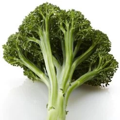 Artwork Hybrid Broccoli Seeds -Botanical Bliss 52499 PK P1 2