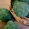 Castle Dome Hybrid Broccoli Seeds (P) Pkt Of 100 Seeds -Botanical Bliss 52507 PK P1