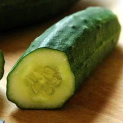 Patio Snacker Cucumber Seeds -Botanical Bliss 52511 2