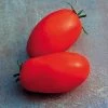Supremo Hybrid Tomato Seeds -Botanical Bliss 52528