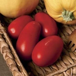 Supremo Hybrid Tomato Seeds (P) Pkt Of 10 Seeds