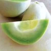 Dulce Nectar Melon Honeydew Seeds 2 Dulce Nectar Melon Honeydew Seeds -Botanical Bliss 52555