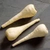 Albion F1 Hybrid Parsnip Seeds -Botanical Bliss 52577 pk p1