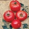 German Johnson Tomato Seeds (P) Pkt Of 30 Seeds -Botanical Bliss 52589 pk p1