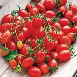 Fantastico Hybrid Grape Tomato Seeds