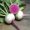 Starburst Hybrid Radish Seeds 2 Starburst Hybrid Radish Seeds -Botanical Bliss 52643 pk p1