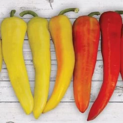 Sweet Sunset Hybrid Pepper Seeds