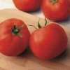 Big Yummy Hybrid Tomato Seeds 2 Big Yummy Hybrid Tomato Seeds -Botanical Bliss 52662