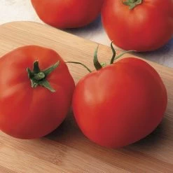 Big Yummy Hybrid Tomato Seeds