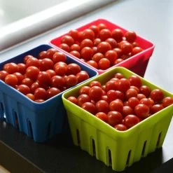 Candyland Red Hybrid Tomato Seeds -Botanical Bliss 52696 PK P1 2